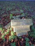 image of grave number 723953